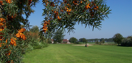 Golfclub Büsum Dithmarschen e.V.